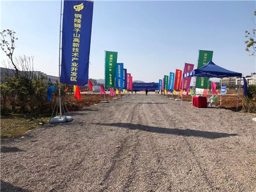 1613956697960472.jpg 2.jpg